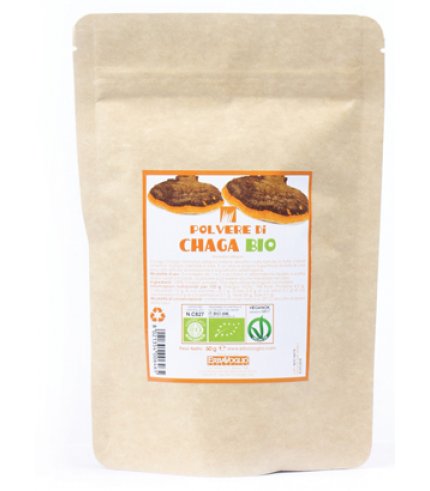 CHAGA POLVERE BIO 60G