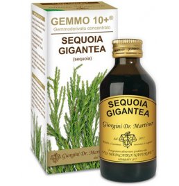 SEQUOIA 100ML ANALCO GEMMO 10+