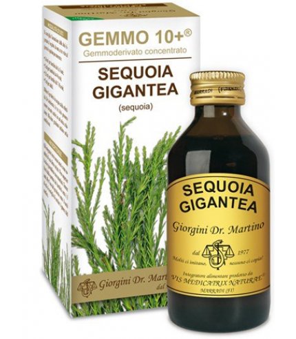 SEQUOIA 100ML ANALCO GEMMO 10+