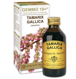 TAMERICE 100ML ANALCO GEMMO10+