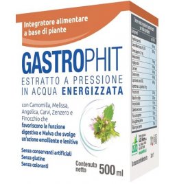 GASTROPHIT 500ML