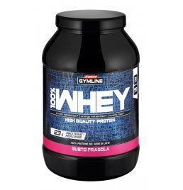 GYMLINE 100% WHEY CONC FRA900G