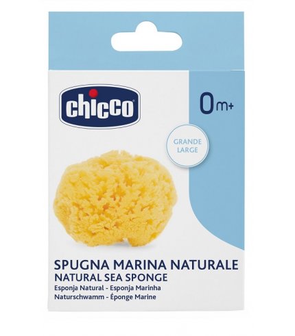 CH SPUGNA GRANDE IGIENE SICURA