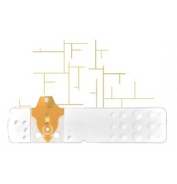 LINEA D ORO 25STR GLICEMIA