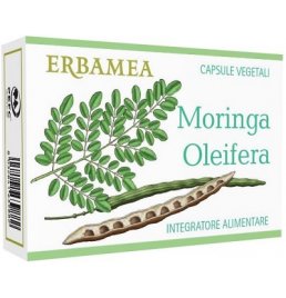 MORINGA OLEIFERA 24CPS