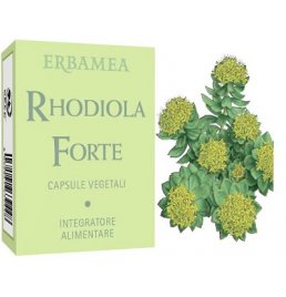 RHODIOLA FORTE 24CPS