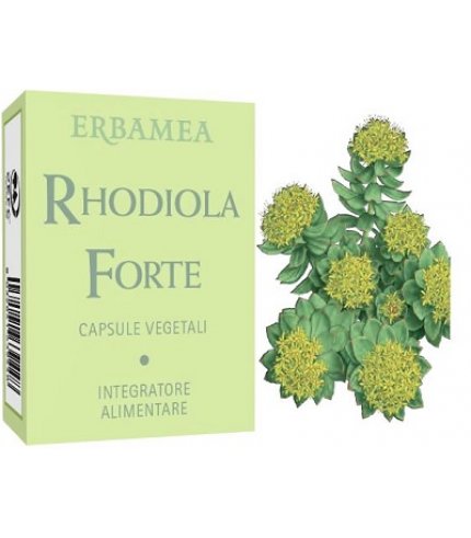 RHODIOLA FORTE 24CPS