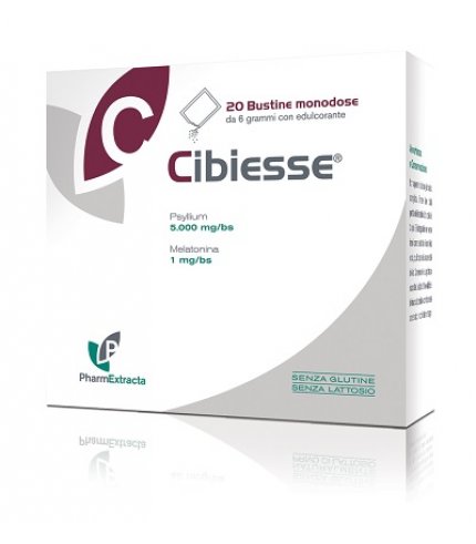 CIBIESSE 20BUST