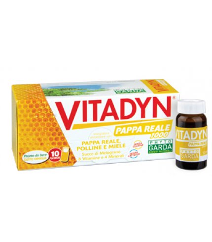 VITADYN PAPPA REALE 1000 10FL