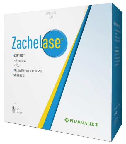 ZACHELASE 20BUST