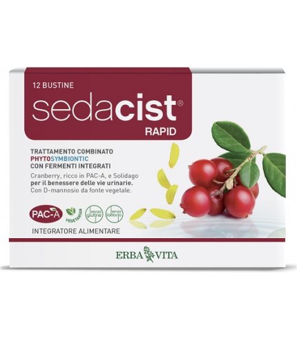 SEDACIST RAPID 6+6BUST