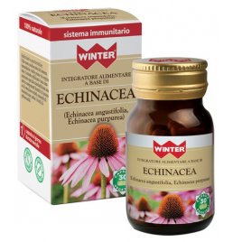 WINTER ECHINACEA 30CPS VEG