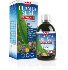 WINTER PLANTA SLIM DEPURATY