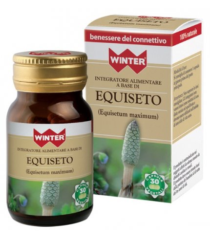 WINTER EQUISETO 30CPS VEG