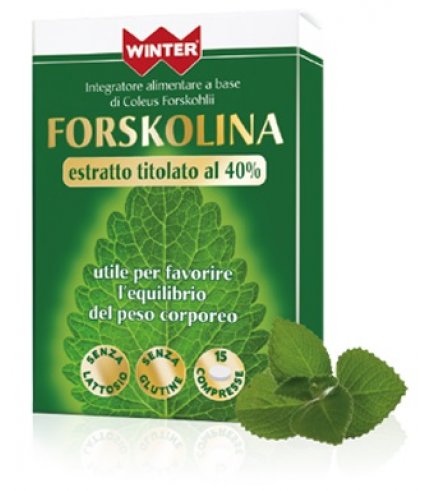 WINTER FORSKOLINA 15CPR