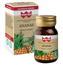 WINTER ANANAS BIO 30CPS VEG