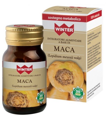 WINTER MACA 30CPS VEG