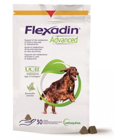 FLEXADIN ADVANCED 30TAV MASTIC