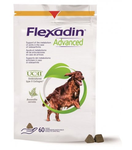 FLEXADIN ADVANCED CANE 60TAV M