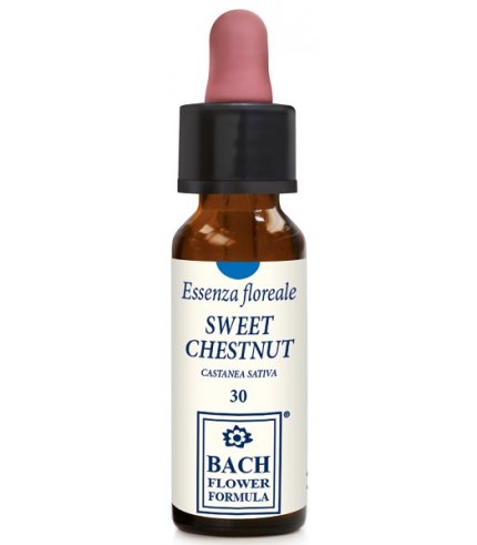 SWEET CHESTNUT ORIGINAL 10ML