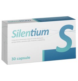 SILENTIUM 30CPS SEIKOU