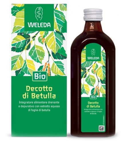 DECOTTO DI BETULLA 250ML