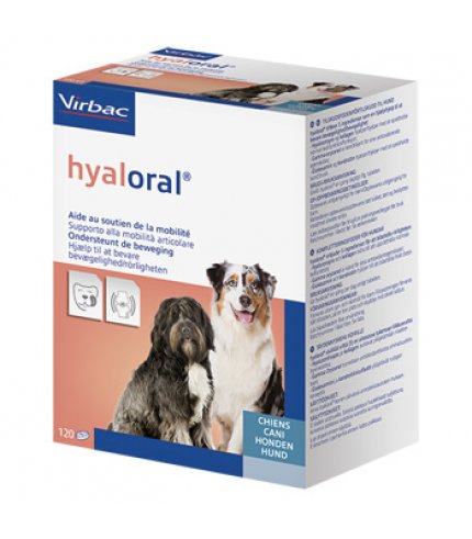 HYALORAL 120CPR