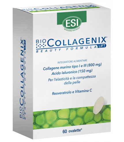 BIOCOLLAGENIX 60OVAL