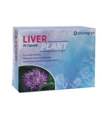 LIVER PLANT 30CPS