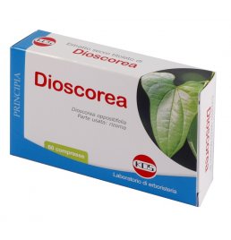 DIOSCOREA ESTR SECCO 60CPR KOS