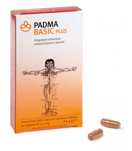 PADMA BASIC PLUS 40CPS