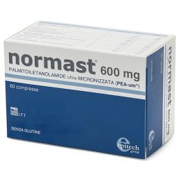 NORMAST 600MG 60CPR