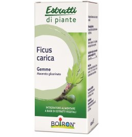 BO.FICUS CARICA 1DH GTT 60ML I