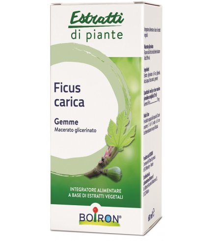 BO.FICUS CARICA 1DH GTT 60ML I