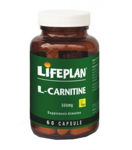 L-CARNITINE 500MG 60CPS