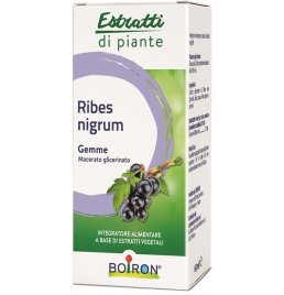 BO.RIBES NIGRUM MG 60ML INT