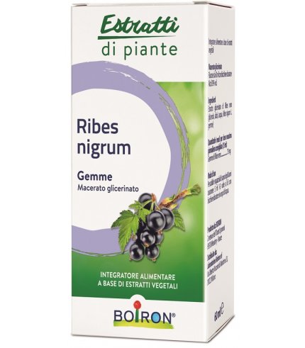 BO.RIBES NIGRUM MG 60ML INT