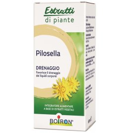 BO.PILOSELLA INT GTT 60ML