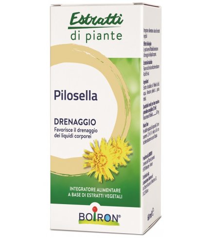 BO.PILOSELLA INT GTT 60ML