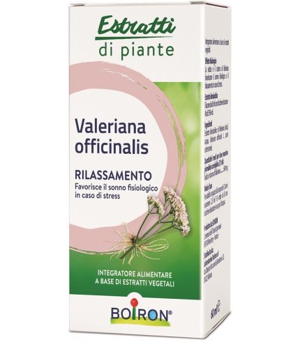 BO.VALERIANA OFF EI 60ML INT