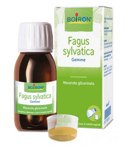 FAGUS SYLVATICA BOI MG60ML INT