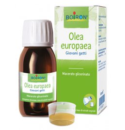 BO.OLEA EUROPAEA MG 60ML INT