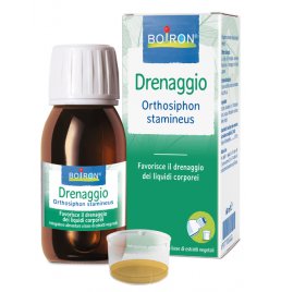 BO.ORTHOSIPHON STA EI 60ML INT