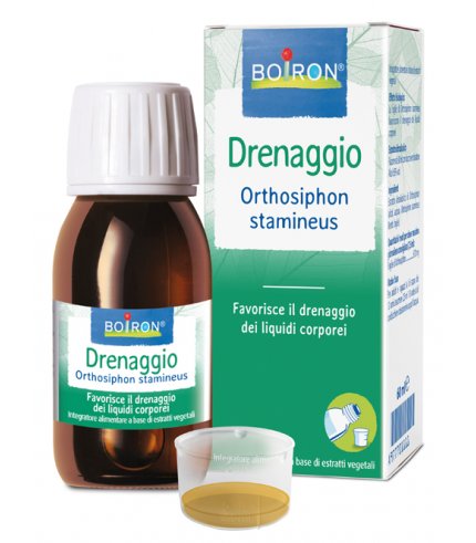 BO.ORTHOSIPHON STA EI 60ML INT