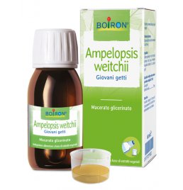 BO.AMPELOPSIS WEI MG 60ML INT