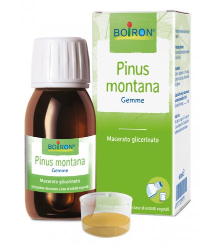 BO.PINUS MONTANA MG 60ML INT