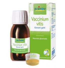 BO.VACCINIUM VITIS MG 60ML INT