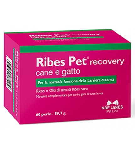 RIBES PET SOLLIEVO 60PRL