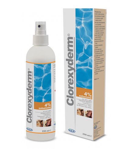 CLOREXYDERM SOL 4% 250ML