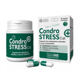 CONDROSTRESS + CAT 30CPS